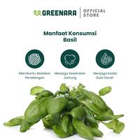Gambar Daun Basil Kering 250gr / Dried Basil Leaves dari GREENARA undefined 3 Tokopedia