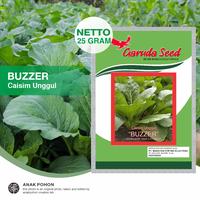 Gambar (1 PACK) Benih Caisim Unggul BUZZER Seeds - Garuda Seed - 25 GRAM dari Anak Pohon undefined 1 Tokopedia