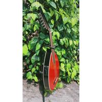 Gambar gitar gambus oud elektrik bisa akustik equlizer dari Violin id undefined 2 Tokopedia