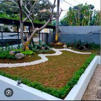 Gambar taman rumput depan kamboja bali dari Mhn_Landscafe undefined 1 Tokopedia