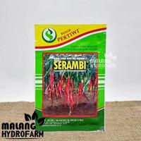 Gambar Benih Cabai Merah Keriting Serambi 10 gram Benih Petiwi dataran rendah bibit biji laris sayur sayuran srambi cabe kriting hydroponik hidroponik dari chindriiistore undefined 2 Tokopedia