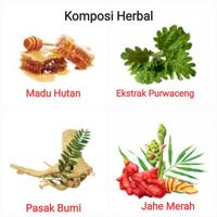 Gambar MADU LAMAIN Jamu Herbal Untuk Memelihara Stamina & Menjaga Kesehatan Pria dari OC. STORE undefined 5 Tokopedia