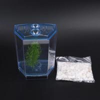 Gambar Aquarium Mini Sekat Single Double Betta Fish Tank Aquarium Mini Cupang - Single dari PAWPET STOREee undefined 5 Tokopedia