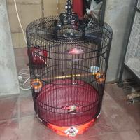 Gambar sangkar burung murai no 1,2,3 merk JJ motif terlaris. dari randu jaya sangkar undefined 3 Tokopedia