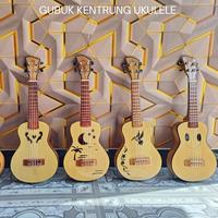Gambar Ukulele argon senar 4 tipis dari hansel.store undefined 1 Tokopedia