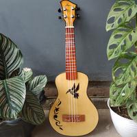 Gambar Ukulele argon senar 4 tipis dari hansel.store undefined 4 Tokopedia