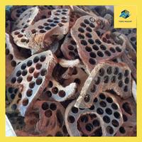 Gambar Mujlt^ Limbah Gaharu 1 Kg Kayu Gaharu Wangi Bukhur Gaharu Asli Atau Dupa Gaharu - 250 gr dari Toko Mujlhit undefined 2 Tokopedia