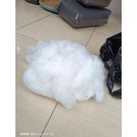 Gambar Dakron Kapas Silicon Grade A Kapas Nanofiber Isian Bantal Guling dari Savanada Shop undefined 3 Tokopedia