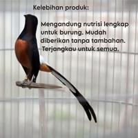 Gambar Pakan burung skm kroto sari voer pur kasar makanan burung murai kacer - Halus dari Kasman.Pakan undefined 5 Tokopedia