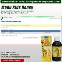 Gambar MULTIKHASIAT Madu Vitamin Kecerdasan Otak Anak Agar Cerdas, Pelancar Bicara Anak, Penambah Nafsu Makan Anak, Penggemuk Badan Anak Permanen, Sembelit, Cacingan, Anak Cepat Bicara, Anak Terlambat Bicara 1 2 3 4 5 6 7 Tahun - TS Kids Honey Original - 180gr dari Al-fathir stores undefined 2 Tokopedia