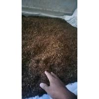 Gambar Tembakau Rasa Racikan Pabrik AVOLUTION MERAH Bako tingwe termantap sedap - GRADE C, 100 GRAM dari RiseAndShineID undefined 4 Tokopedia