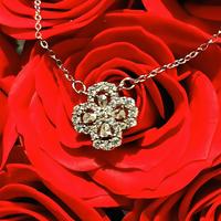 Gambar Kalung berlian 4 daun semanggi/hadiah liburan untuk pacar dari Aqua&Rose undefined 5 Tokopedia