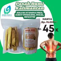 Gambar Obat Sakit Pinggang Belakang Akar Pasak Bumi Kalimantan Asli dari Borneo Store ID_NEW undefined 1 Tokopedia