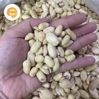 Gambar Kacang Kupas Besar Grade A 500g dari Toko Akhim Pontianak undefined 1 Tokopedia