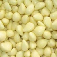 Gambar Bawang Putih Kupas - Kupas dan Iris, 1/2 Kg dari CV. Rameya Fresh undefined 1 Tokopedia