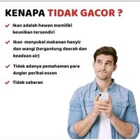 Gambar Essen Durian/Kweni/Sereh/Kamper/Amis gurih/Nix Essen Indukan/Ikan Rame/Untuk Ikan Mas/Lele/Bawal/Patin/Nila/Gurame 30ML-4 dari FISHING MASTER ARENA undefined 3 Tokopedia