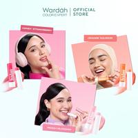 Gambar Wardah Lip balm 1 PCS Pelembab Bibir Fruity Sheer Moisture UV Protect Lipbalm - Strawberry dari yaYes Collection undefined 3 Tokopedia