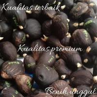 Gambar bibit kelapa sawit tn1 bibit sawit tani nusa bersertifikat - TN1 dari TANI 77 MAKMUR undefined 5 Tokopedia