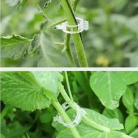 Gambar Klip Tanaman (Plant Clip) untuk sayuran, 1  Set isi 5 pcs - Hijau dari Arsanif undefined 1 Tokopedia