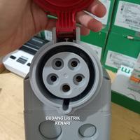 Gambar LEGRAND SURFACE MOUNTING 5PIN 5 KAKI 32A IP44 555259 ORIGINAL MADE IN TURKEY dari GUDANG LISTRIK KENARI undefined 2 Tokopedia