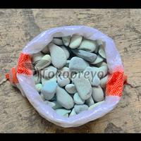 Gambar BATU FLORES HIJAU SEDANG - HIAS TAMAN AQUASCAPE VIA GOSEND GRAB dari tokooreyo undefined 1 Tokopedia