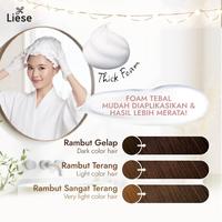 Gambar Liese Bubble Hair Color Foam Chestnut Brown Twinpack - Cat Rambut Permanent dari KAO Indonesia undefined 3 Tokopedia