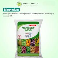 Gambar Pupuk Magnesium Sulfat MgSO4 Pak Tani 1 kg dari Nurseri Lestari undefined 2 Tokopedia