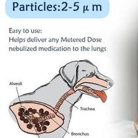 Gambar Pet Portable Nebulizer Alat Terapi Uap Pernafasan Anjing Kucing Terlaris - Alat Nebu dari Jan Melejit undefined 5 Tokopedia