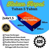 Gambar Kolam Terpal A20 200x400x150 untuk budidaya ikan dari Mandiri Terpal Store undefined 1 Tokopedia