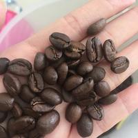 Gambar Kopi Luwak Asli Bali King 250gr - biji dari COCO88 SHOP coffee undefined 2 Tokopedia