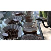 Gambar Biji Kopi Excelsa Pasaman Natural Klasik 500gram - Whole dari karu Coffee Roastery undefined 3 Tokopedia