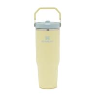 Gambar Tumbler Stanley Classic IceFlow 2.0 Flip Straw 30oz ORIGINAL - Twilight dari Whatuneedstore undefined 3 Tokopedia
