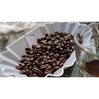 Gambar Biji Kopi Excelsa Pasaman Natural Klasik 500gram - Whole dari karu Coffee Roastery undefined 2 Tokopedia