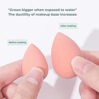 Gambar AMY'S DIARY [5 Pcs] Beauty Blender Sponge Mini Micro Makeup Dengan Mika Penyimpanan dari Amy's Diary undefined 4 Tokopedia