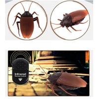 Gambar Giant Roach Prank Toys Remote Control Cocroach - Mainan Kecoa RC dari CV PUSAT CERIA undefined 4 Tokopedia