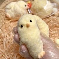Gambar Squishy Taba ayam taba chicken taba kucing cat mainan anak stress relieve toys taba bebek taba pinguin - Ayam food grade dari engkongstor undefined 1 Tokopedia