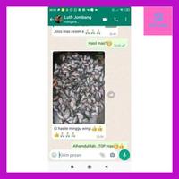 Gambar Patwa_ Essen Super Lumut. Umpan Mancing Gacor. Essen Lumut. Nila Bandeng Belanak. Kualitas Super 30Ml Murni. - SUPERLUMUT dari Patwa-pawawa undefined 2 Tokopedia
