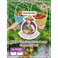Gambar Bibit Premium Strawberry Kintamani Bali | Biji Benih Strobery dari Purplerain75 undefined 1 Tokopedia