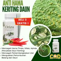 Gambar READY STOCK READY STOCK Pupuk Oriza Anti Hama 3 GRATIS 1 ALFAGREEN - Oriza Pupuk Pestisida Fungisida Insektisida Organik Pembasmi Hama| | Pupuk Organik Cair POC Tanaman Dan Buah| Pupuk Organik Cabai anti - 1 Botol Oriza dari KOSNENDAR32 undefined 1 Tokopedia