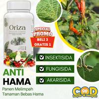Gambar READY STOCK READY STOCK Pupuk Oriza Anti Hama 3 GRATIS 1 ALFAGREEN - Oriza Pupuk Pestisida Fungisida Insektisida Organik Pembasmi Hama| | Pupuk Organik Cair POC Tanaman Dan Buah| Pupuk Organik Cabai anti - 1 Botol Oriza dari KOSNENDAR32 undefined 2 Tokopedia