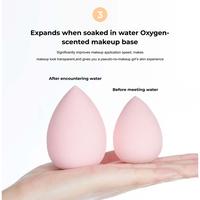 Gambar AMY'S DIARY 1 Pcs Make Up Beauty Blender Super Soft Puff Foundation Special Wet and Dry Sponge Egg dari Amy's Diary undefined 5 Tokopedia