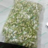 Gambar BUNGA MELATI SEGAR 1/2 kg dari KIOS BUNGA SEDAP MALAM undefined 1 Tokopedia