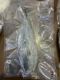 Gambar Ikan Tongkol / Tongkol Batik / Tongkol Komo | Frozen Beku Utuh 1KG / Per ekor - 1KG isi 1-2 dari SMR SEAFOOD undefined 3 Tokopedia