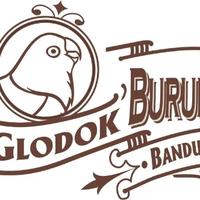 Gambar Spet Spetan Import 20 ml Suntikan Lolohan Anakan Bayi Burung - 10 ml dari Glodok Burung Bandung undefined 5 Tokopedia