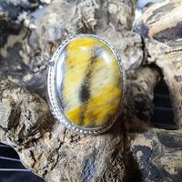 Gambar Batu Cincin Akik Natural Karang Nunggal # 2 dari Nagatawa Ornamental Fish undefined 1 Tokopedia