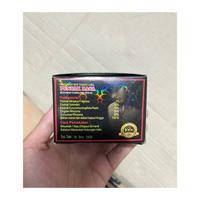 Gambar kapsul stamina + pembesar untuk pria puncak rasa original - 2 set 4 kapsul dari MANDIRI 57 JAYA undefined 3 Tokopedia