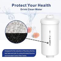Gambar New Replacement PF-2 Fluoride Water Filter Fluoride Arsenic Reduction Elements Filter For Berkey and Other Gravity Filtration System dari FullRoses undefined 4 Tokopedia