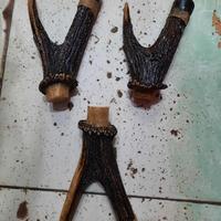 Gambar promo Gagang Mandau Tanduk Rusa Asli Original [terbaik] dari subur makmur jya undefined 3 Tokopedia