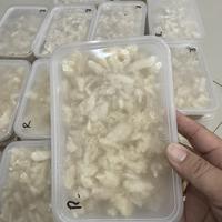 Gambar Daging Rajungan Kupas Bersih / Rajungan kupas grade A kemasan 500gram dari kiatcell undefined 1 Tokopedia