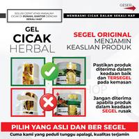 Gambar Obat Racun Cicak Tokek Oles Paling Ampuh Langsung Mati 20gr Lizard B dari Poison One Store undefined 5 Tokopedia